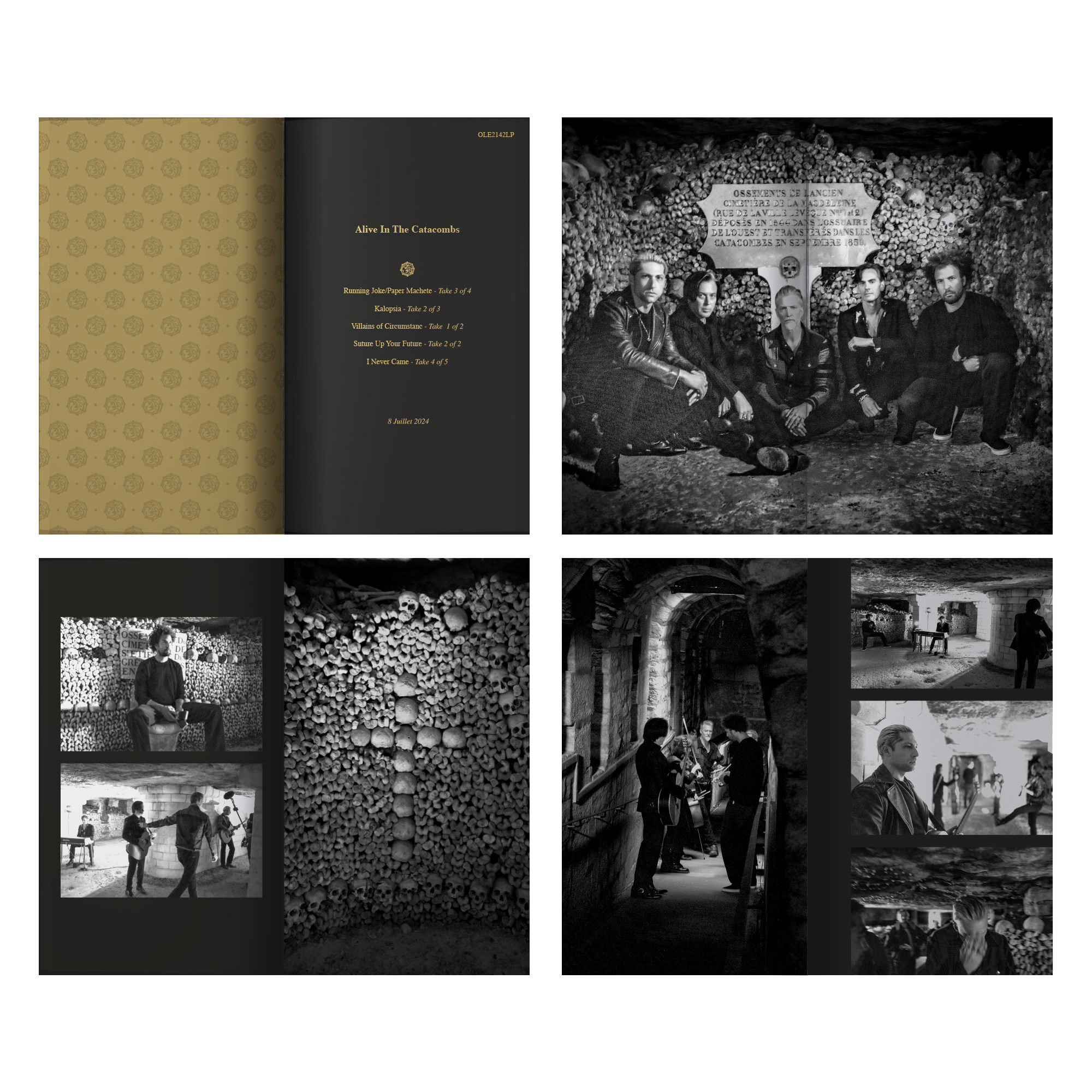 Queens Of The Stone Age - Alive in the Catacombs – Deluxe Edition 1LP Vinyl.
