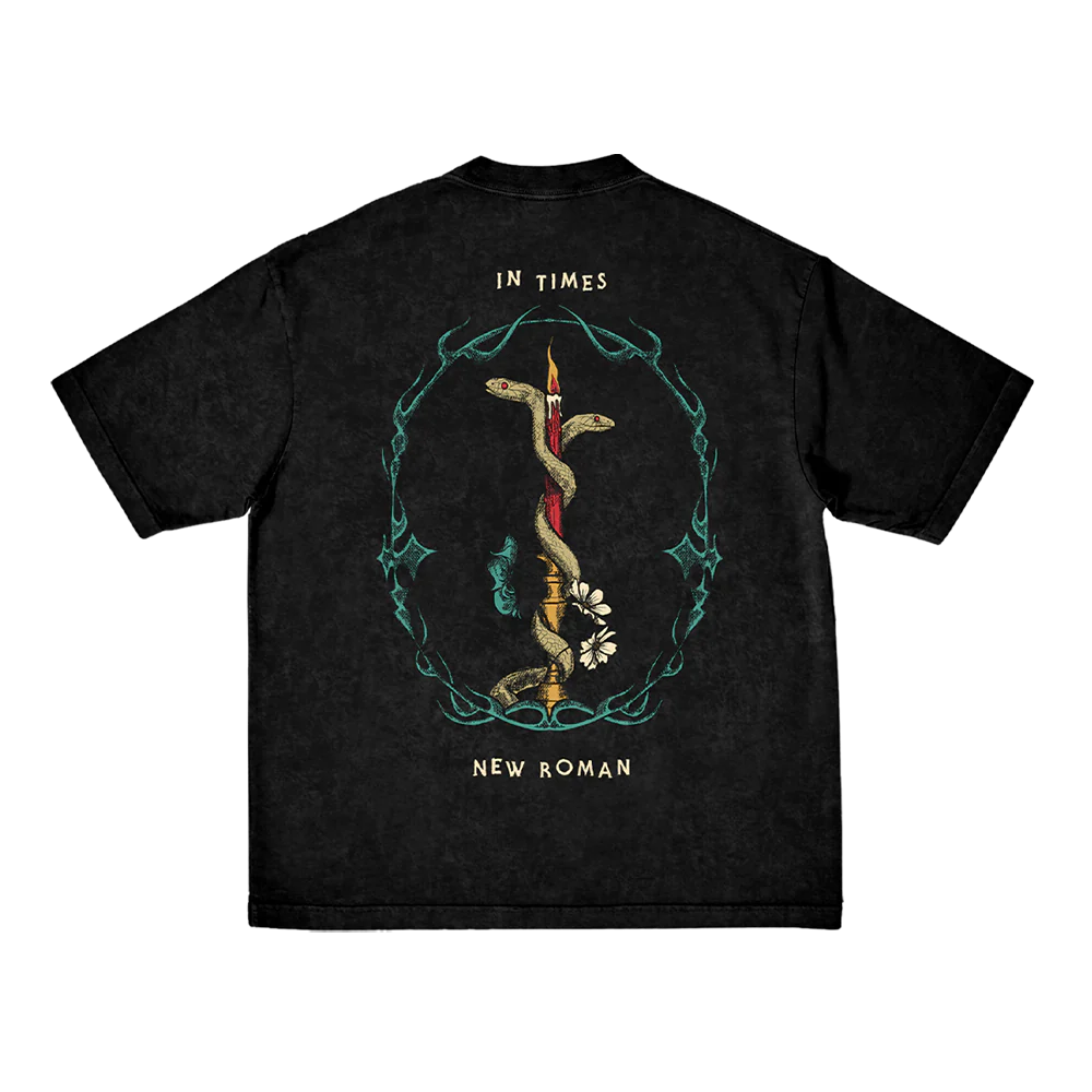 Queens Of The Stone Age - In Times New Roman... Snake T-Shirt